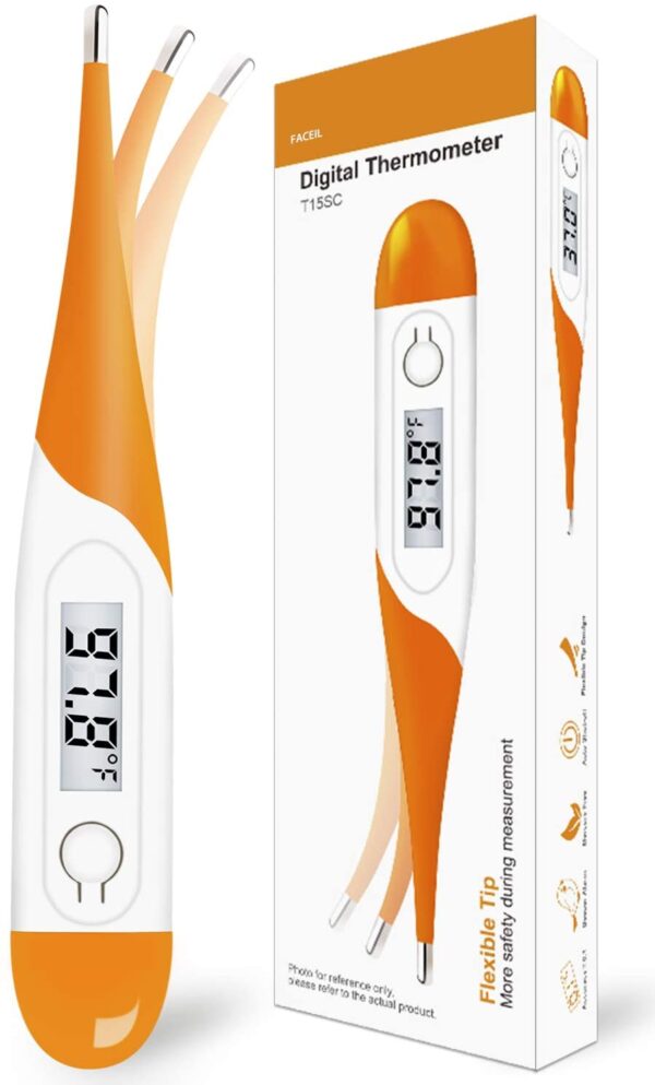 Digital Oral Thermometer