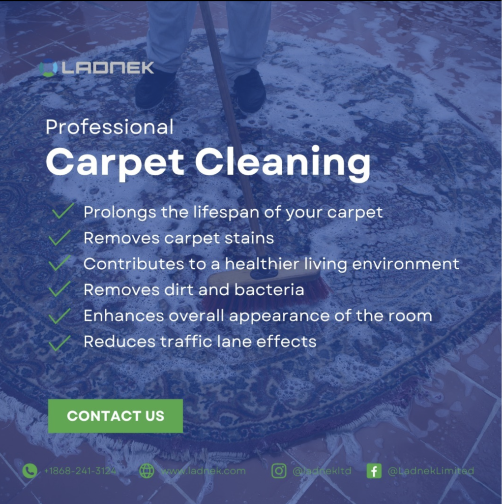 Carpet cleaning services- ladnek
