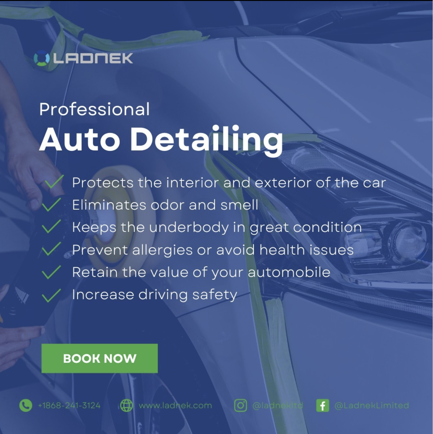 Auto detailing prevent allergies, eliminate odor and smell- ladnek